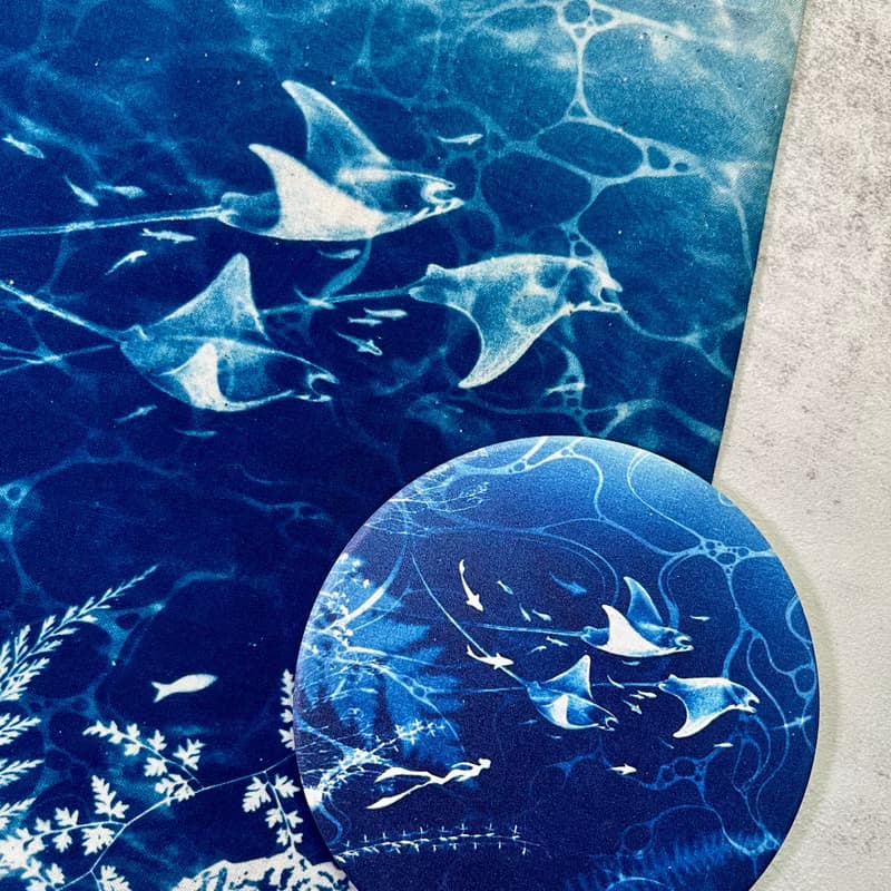 【波光粼粼】印刷藍曬-海洋生物/海龜/鯨魚/吸水杯墊