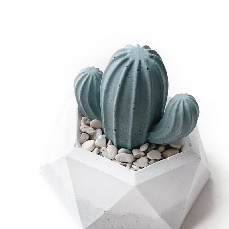 (現貨)白灰漸層系列 | 仙人掌造型水泥擴香石組合 辦公室懶人植栽