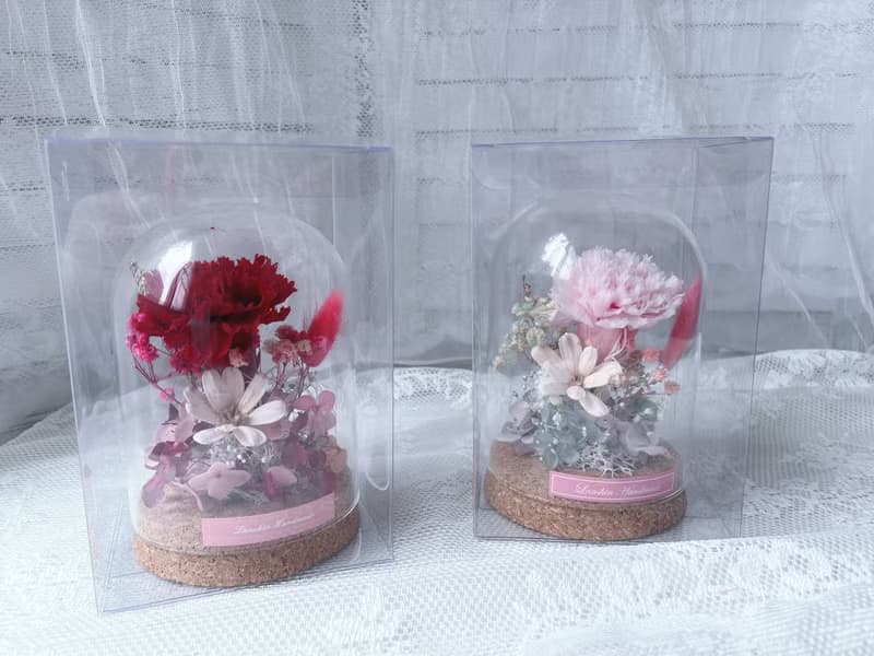 藍芯花藝 瓶中康乃馨 母親節花束 母親節 生日禮物 母親節禮盒