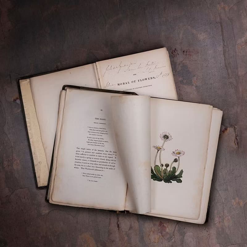 Botanic Garden 經典植物園系列-12.5cm標準飯碗