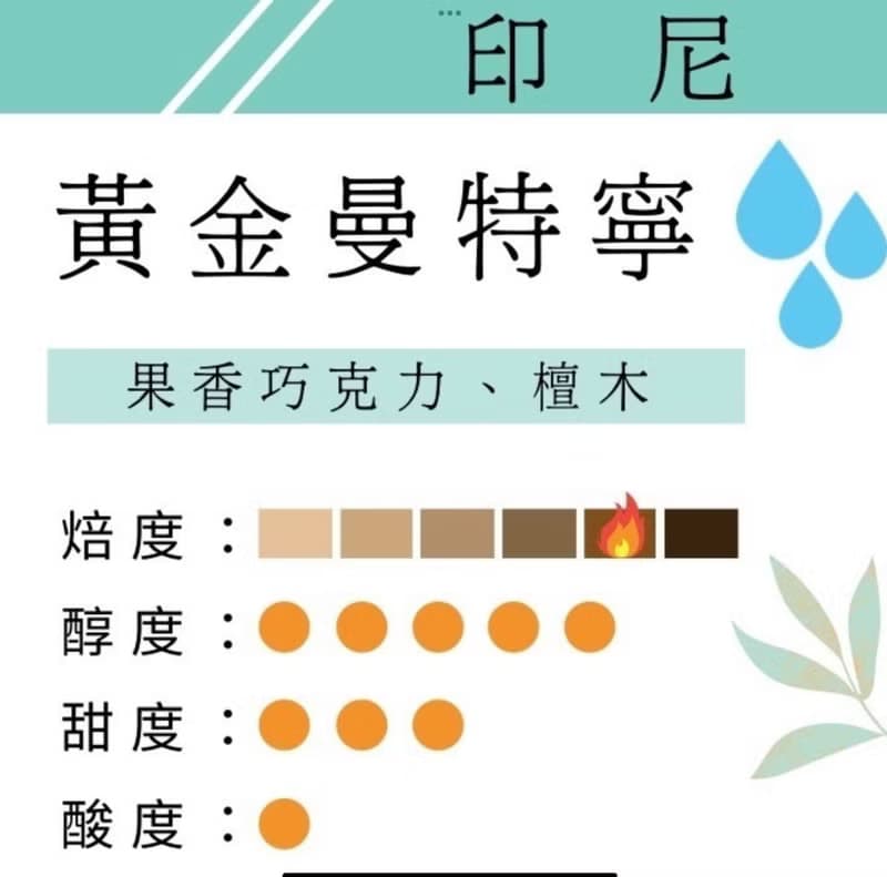 鑠咖啡 印尼 黃金曼特寧 中深焙 水洗 單品濾掛式咖啡 耳掛