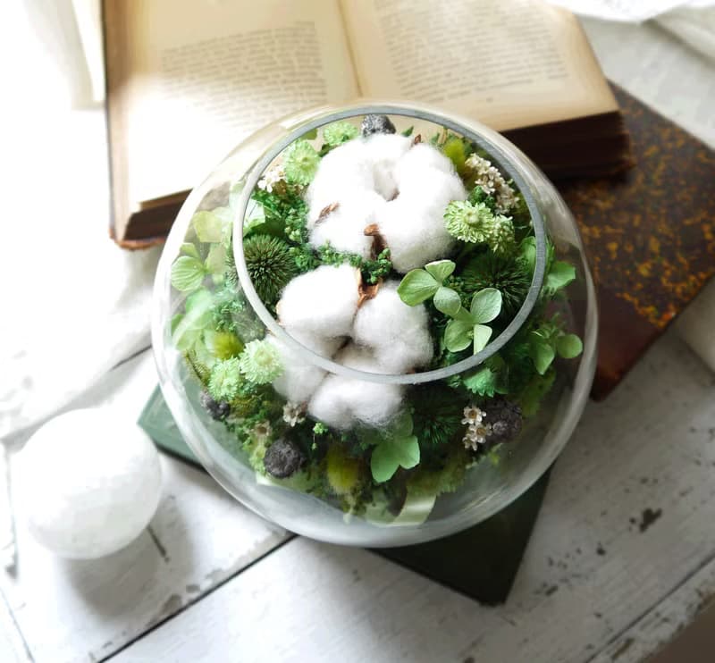 青翠泡泡.森林青草色系.生日情人節乾燥花禮物