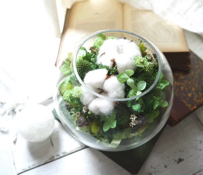 青翠泡泡.森林青草色系.生日情人節乾燥花禮物