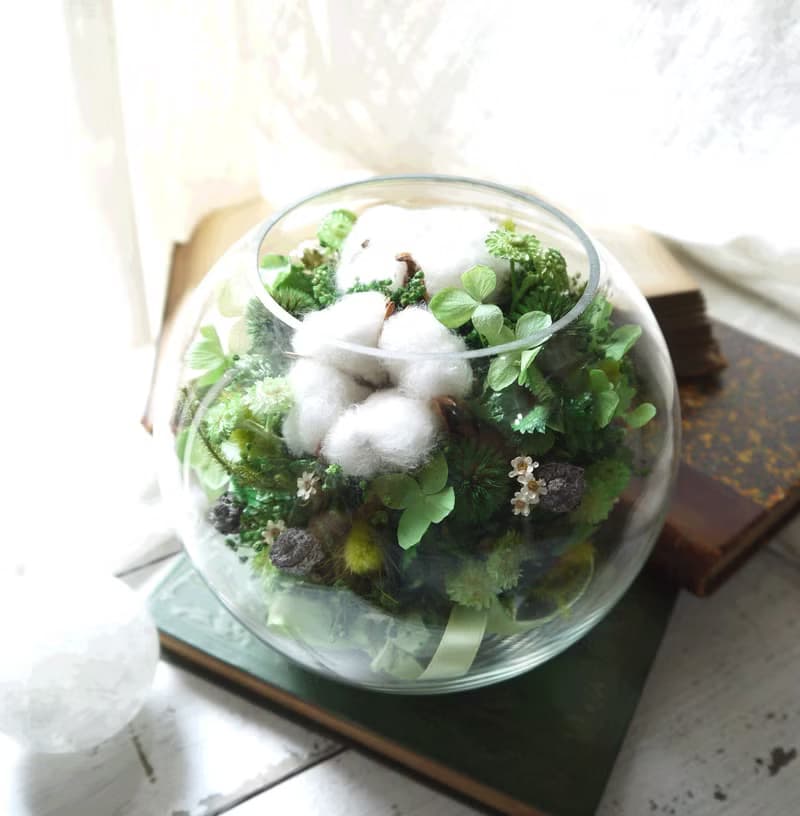 青翠泡泡.森林青草色系.生日情人節乾燥花禮物