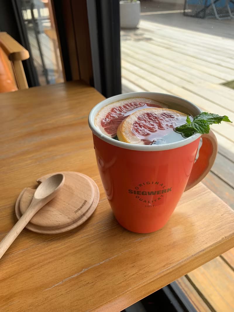 【SIEGWERK】德國櫸木不鏽鋼琺瑯馬克杯300ml_珊瑚紅