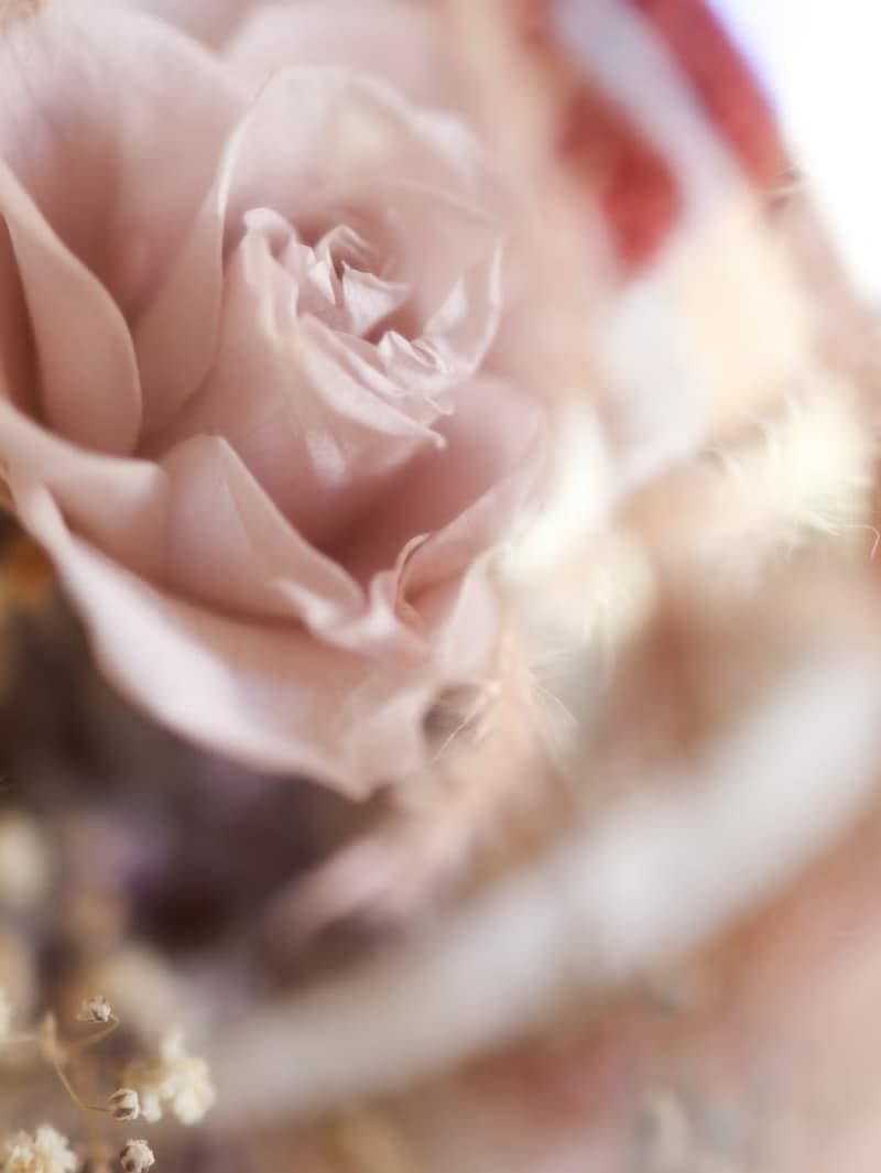 絢爛光芒 x 不凋乾燥花抱抱桶