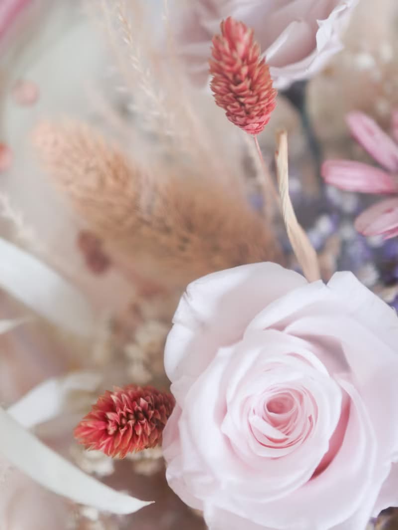 絢爛光芒 x 不凋乾燥花抱抱桶