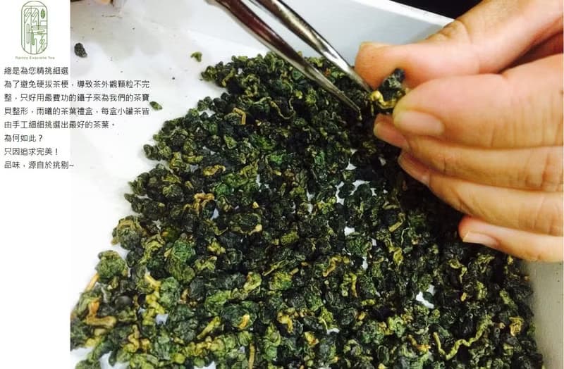 雨曦精選手採梨山茶葉禮盒(伴手禮附提袋)