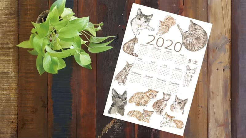 2020蘭嶼小島貓年曆