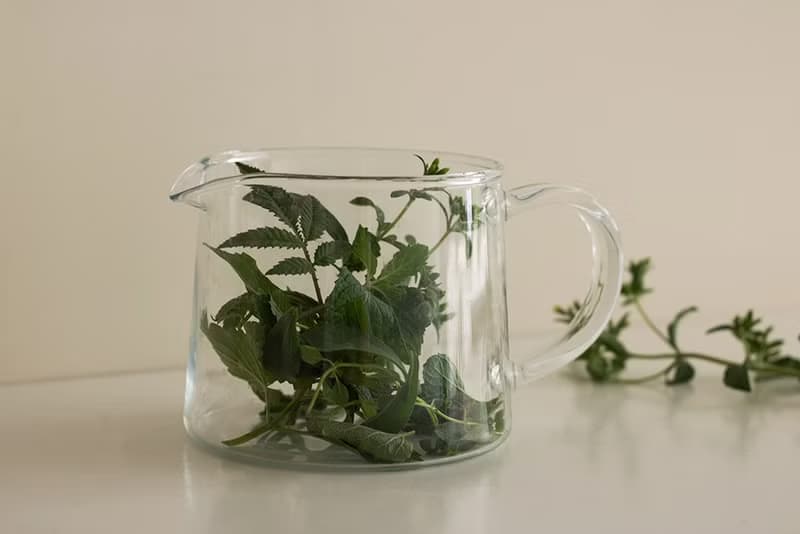 甜菊_零熱量天然甜味劑_香草禮物款