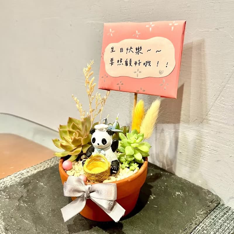 台中多肉組盆 多肉植物 枯山水 日本 熊貓 公仔 餐廳開幕 慶祝