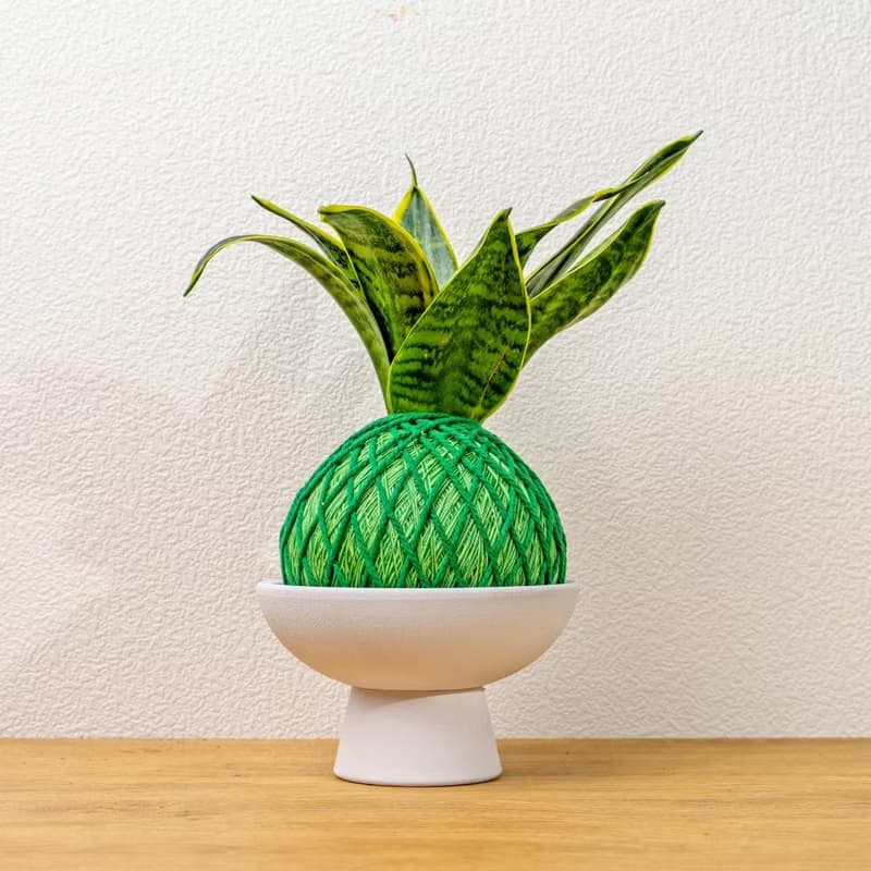 苔球植物 美葉虎尾蘭嫩綠苔球加磨砂高腳缽 苔球 苔玉 禮物