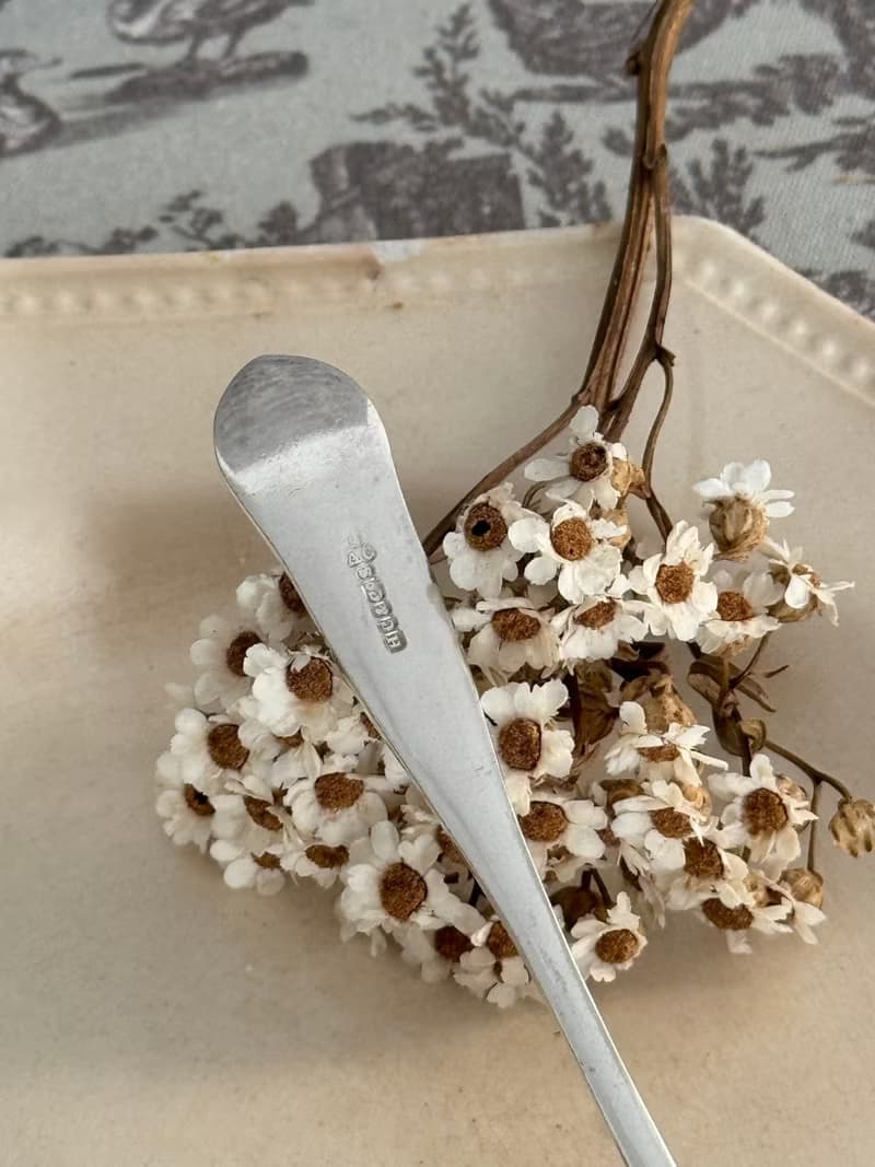 40865- 迷人古董鍍銀扇貝匙冰淇淋布丁甜點匙