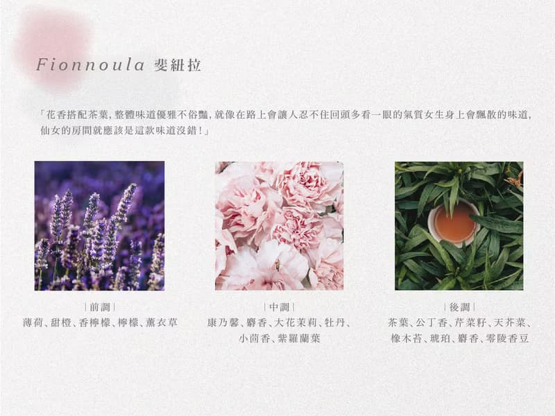 莫蘭迪色/陶瓷/大豆蠟香氛蠟燭【Fionnoula】250g