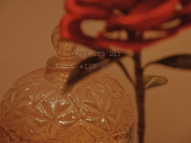 僅欣賞小王子的玫瑰花纏花永生花聖誕節情人節送禮特別裝飾