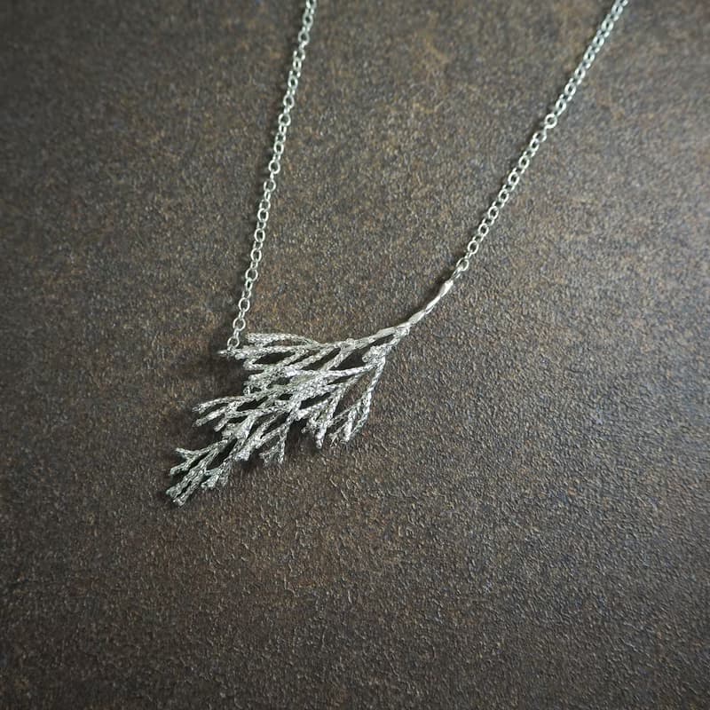 plant a necklace_植物a項鍊 植物 森林 花卉 自然 獨一無二