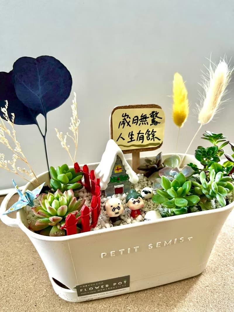 多肉組盆 多肉植物 日式枯山水 婚禮禮物 情人節 禮物 結婚紀念日