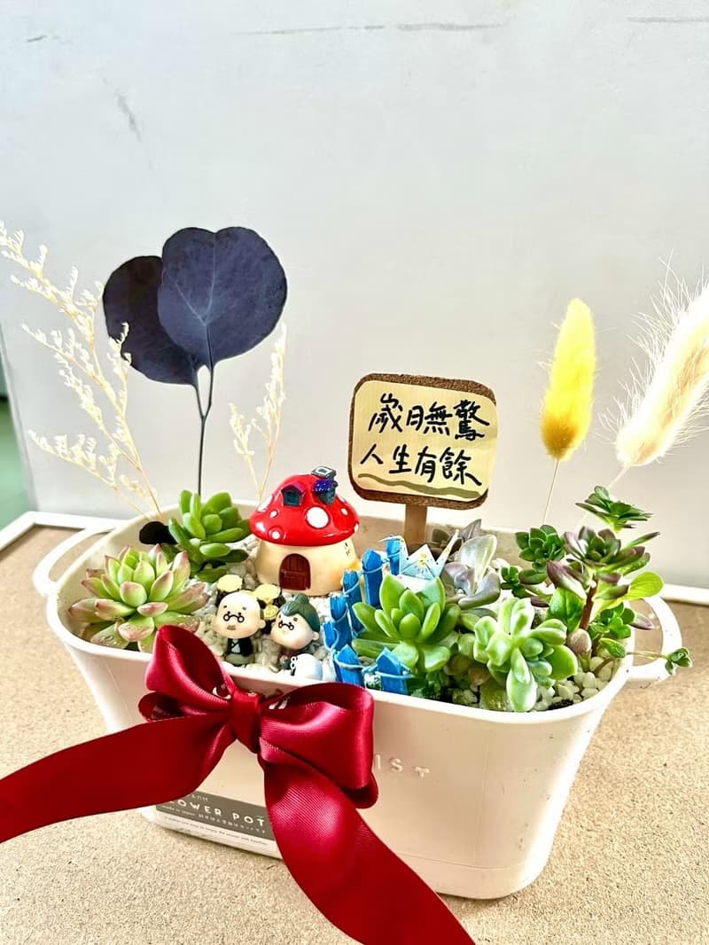 多肉組盆 多肉植物 日式枯山水 婚禮禮物 情人節 禮物 結婚紀念日