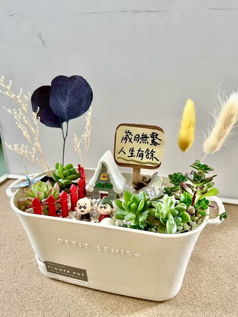 多肉組盆 多肉植物 日式枯山水 婚禮禮物 情人節 禮物 結婚紀念日