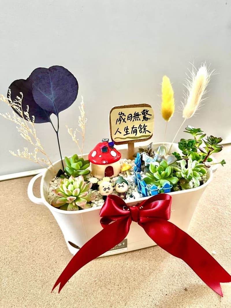 多肉組盆 多肉植物 日式枯山水 婚禮禮物 情人節 禮物 結婚紀念日