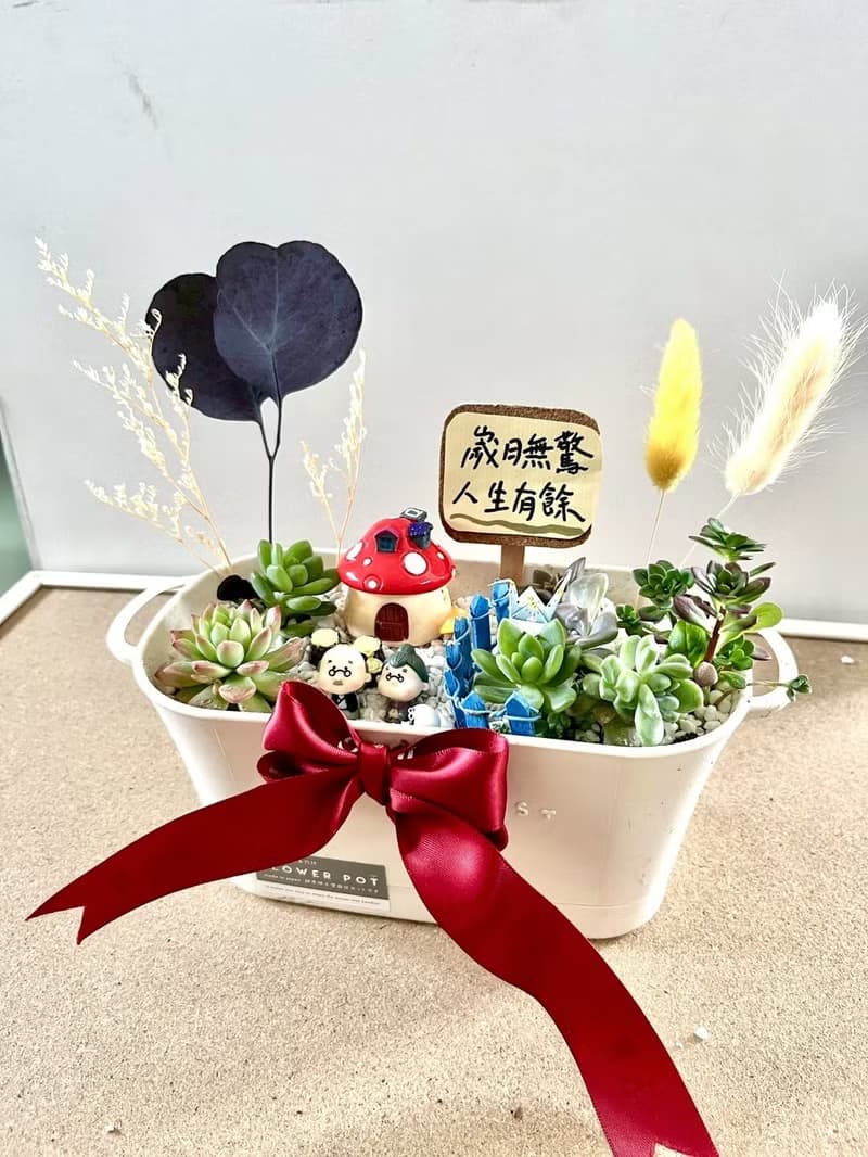 多肉組盆 多肉植物 日式枯山水 婚禮禮物 情人節 禮物 結婚紀念日