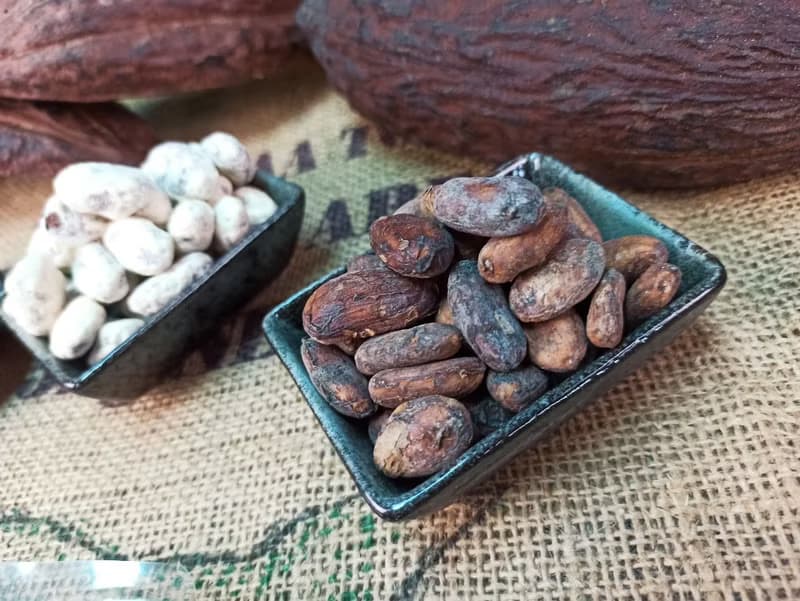 獨家手工禮盒優惠中_純可可大賞系列_1220原豆系列禮盒C