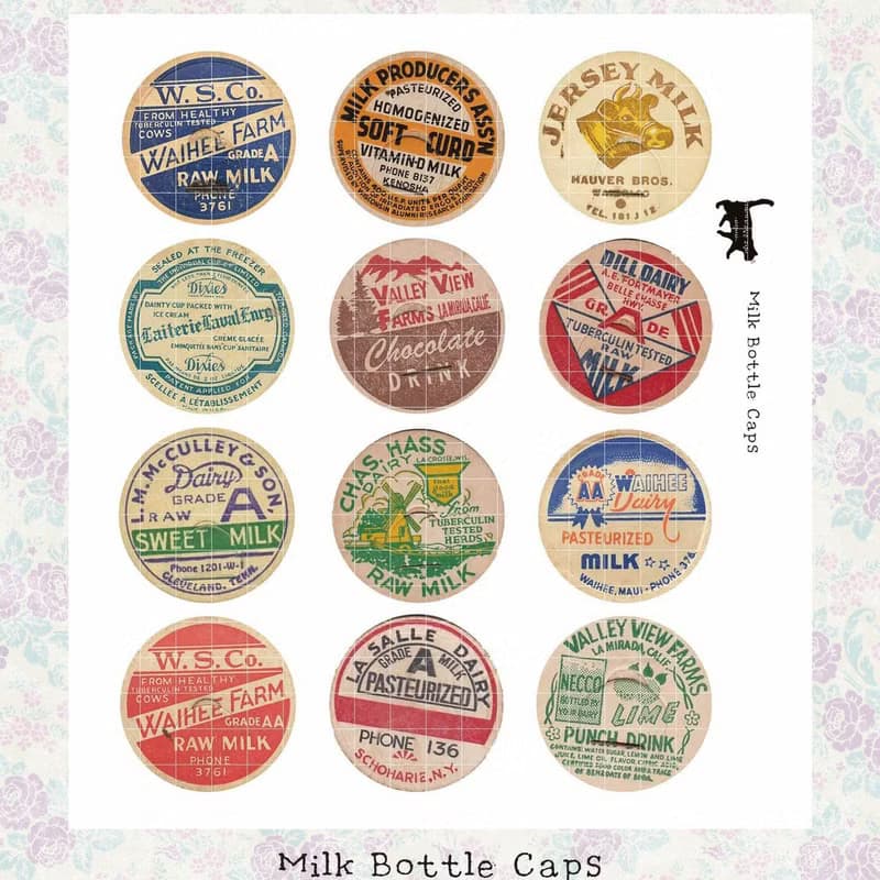 Bottle Milk Lid (blue lion) (suyeon)