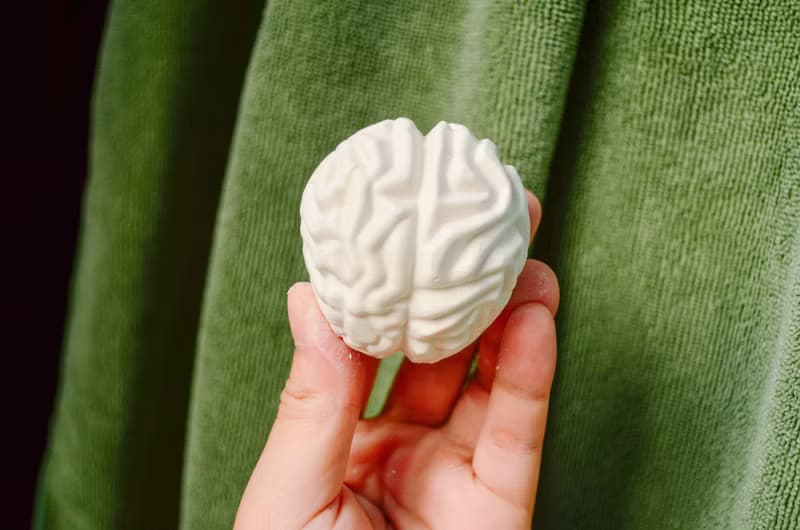 器官系列 腦袋瓜擴香石