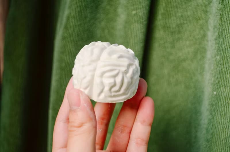 器官系列 腦袋瓜擴香石