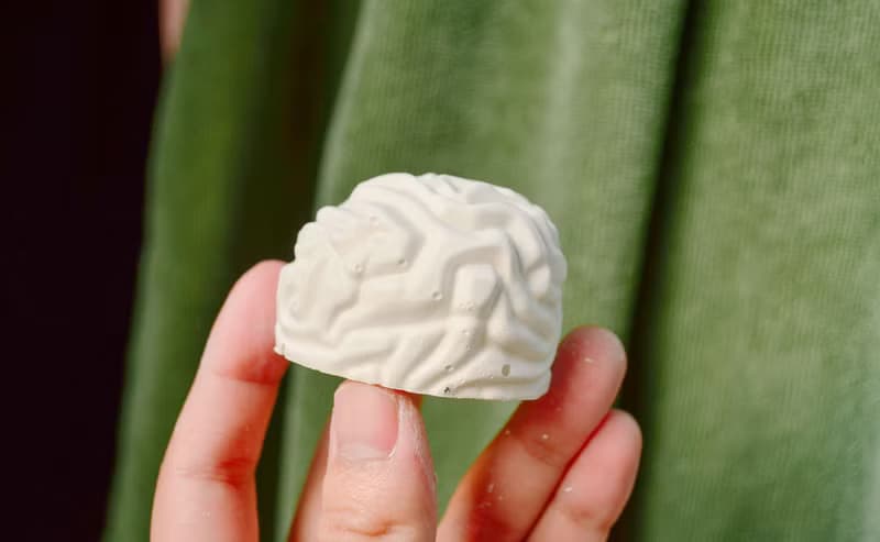 器官系列 腦袋瓜擴香石