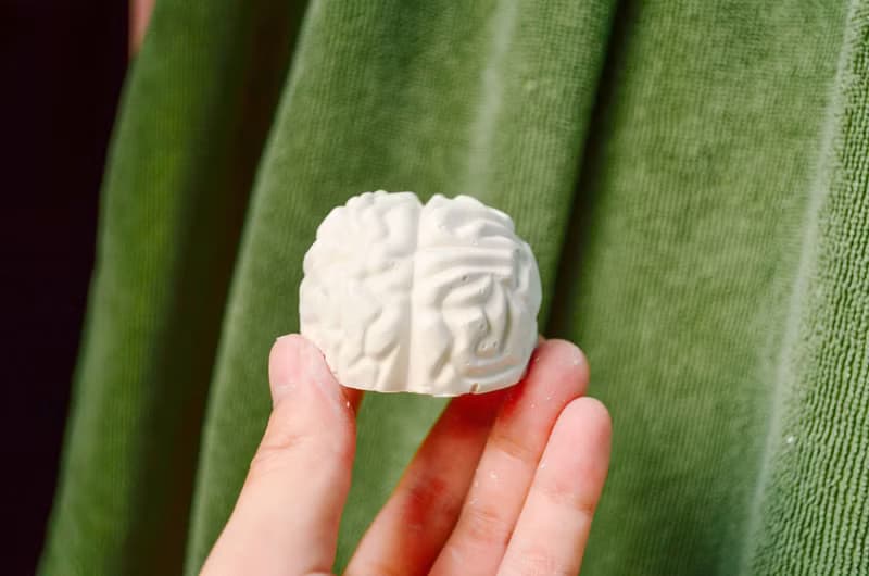 器官系列 腦袋瓜擴香石
