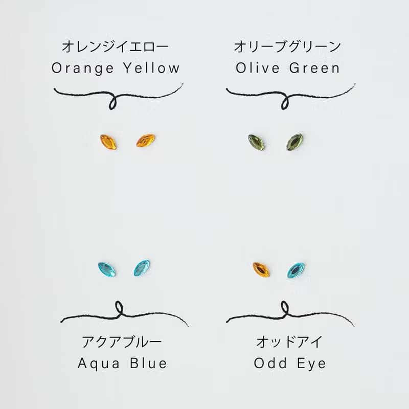 【選擇眼睛】貓　胸針  /  黑