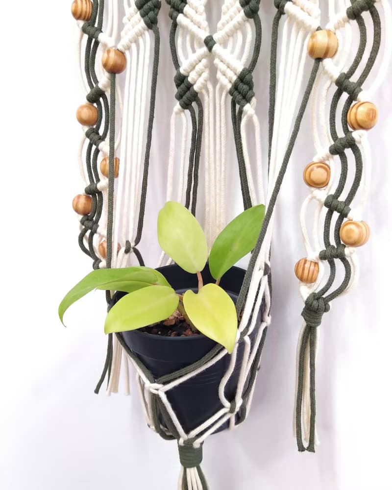 Macrame Plant Hanger 手工編織植物盆栽吊掛網【復古米/軍綠】