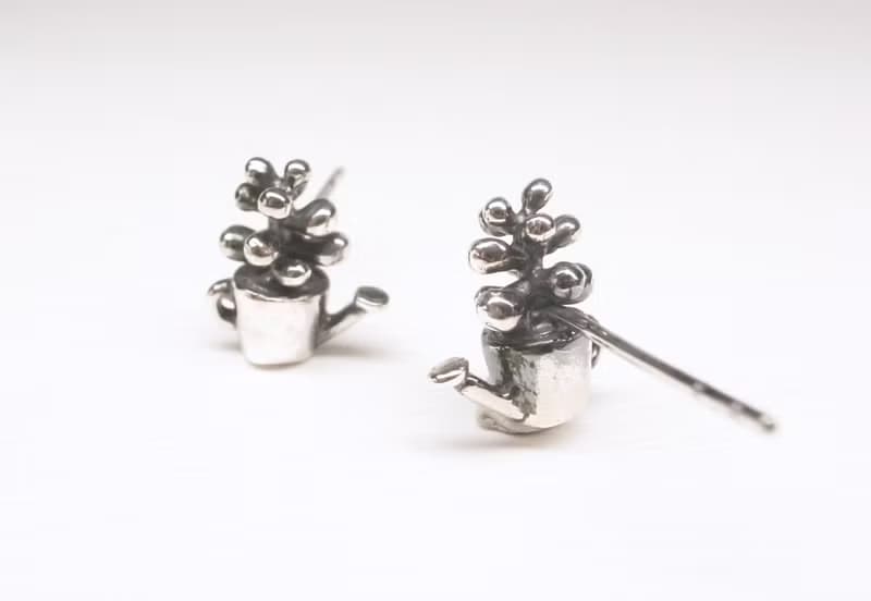 二毛銀【多肉植物系列─虹之玉-耳針】銀 or 金