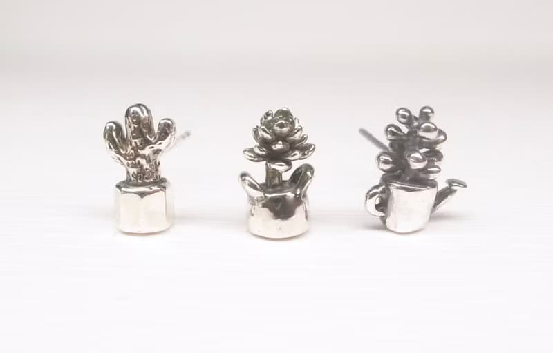 二毛銀【多肉植物系列─虹之玉-耳針】銀 or 金