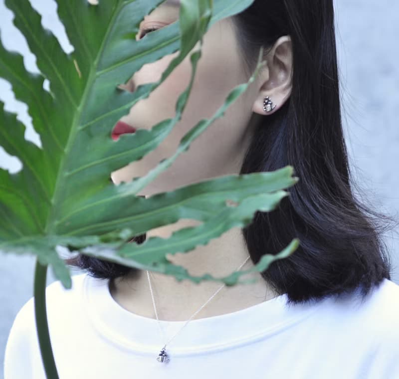 二毛銀【多肉植物系列─虹之玉-耳針】銀 or 金