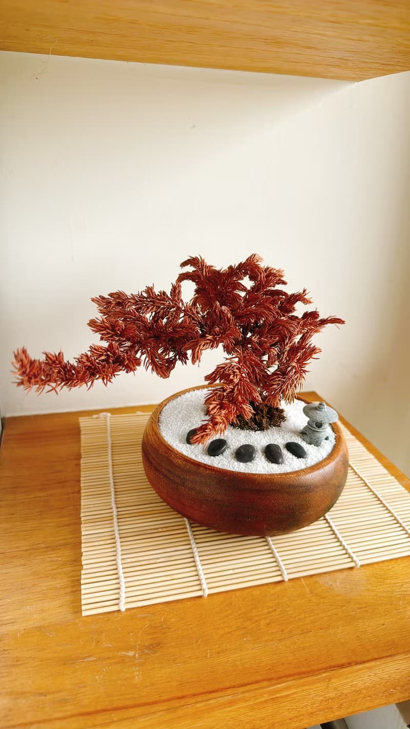 純自然 侘寂風 日式禪庭盆栽 禪 枯山水 枯松樹 盆栽 送禮 zen