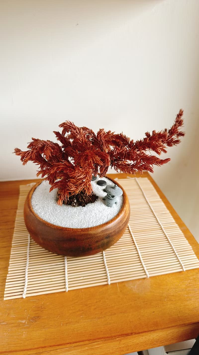 純自然 侘寂風 日式禪庭盆栽 禪 枯山水 枯松樹 盆栽 送禮 zen