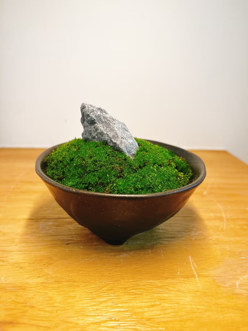 純自然 迷你 缽 山水青苔盆景 苔 石 盆栽 送禮 小物 微景觀