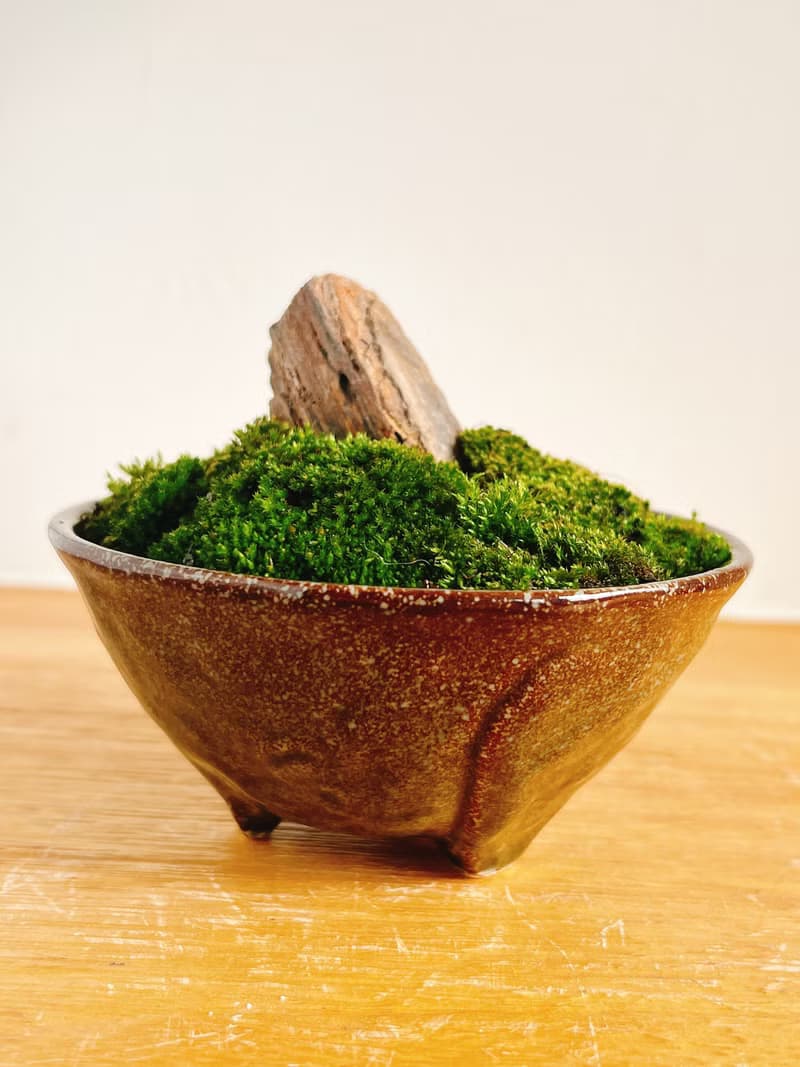 純自然 迷你 缽 山水青苔盆景 苔 石 盆栽 送禮 小物 微景觀