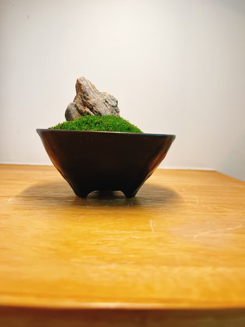 純自然 迷你 缽 山水青苔盆景 苔 石 盆栽 送禮 小物 微景觀