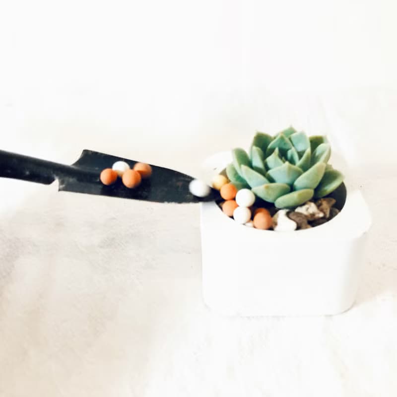 限加購商品-多多肉種植工具組