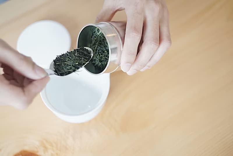 日本茶 煎茶 茶葉 / 茶包