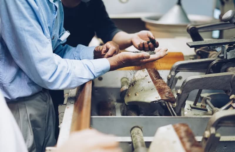 日本茶 煎茶 茶葉 / 茶包