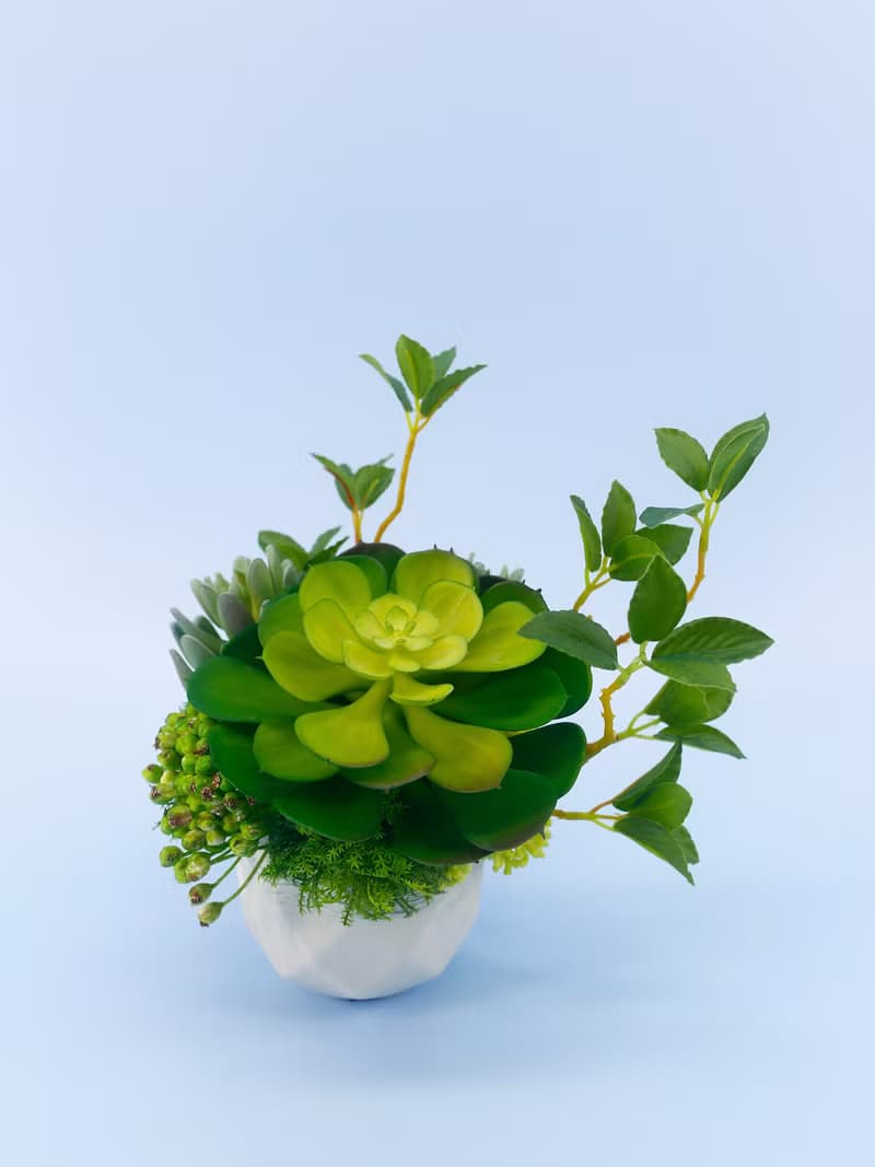 大寶石蓮枝芽多肉盆栽/擬真植物/人造盆栽/綠化/佈置/禮物