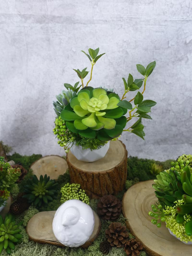 大寶石蓮枝芽多肉盆栽/擬真植物/人造盆栽/綠化/佈置/禮物