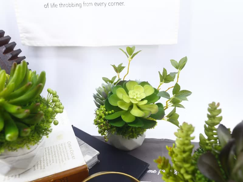 大寶石蓮枝芽多肉盆栽/擬真植物/人造盆栽/綠化/佈置/禮物