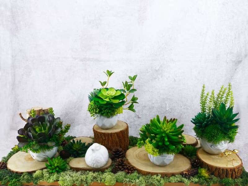 大寶石蓮枝芽多肉盆栽/擬真植物/人造盆栽/綠化/佈置/禮物