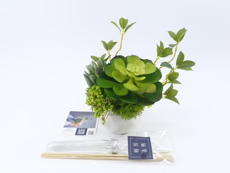 大寶石蓮枝芽多肉盆栽/擬真植物/人造盆栽/綠化/佈置/禮物