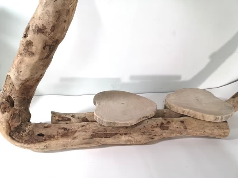 -眼鏡蛇-  花架 花座 展示架 盆栽架 多肉植物 木頭擺飾